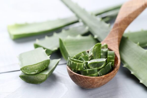 aloe vera slices skin care 144627 36299